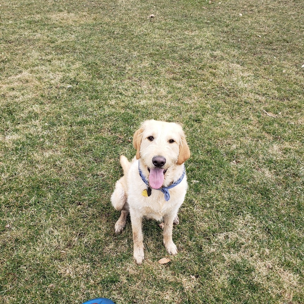 Meet your Posher, Conor